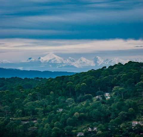  10 Best Places to Visit in Ranikhet 2025