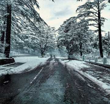 5 Best Places to Visit in Chopta:The Mini Switzerland of India