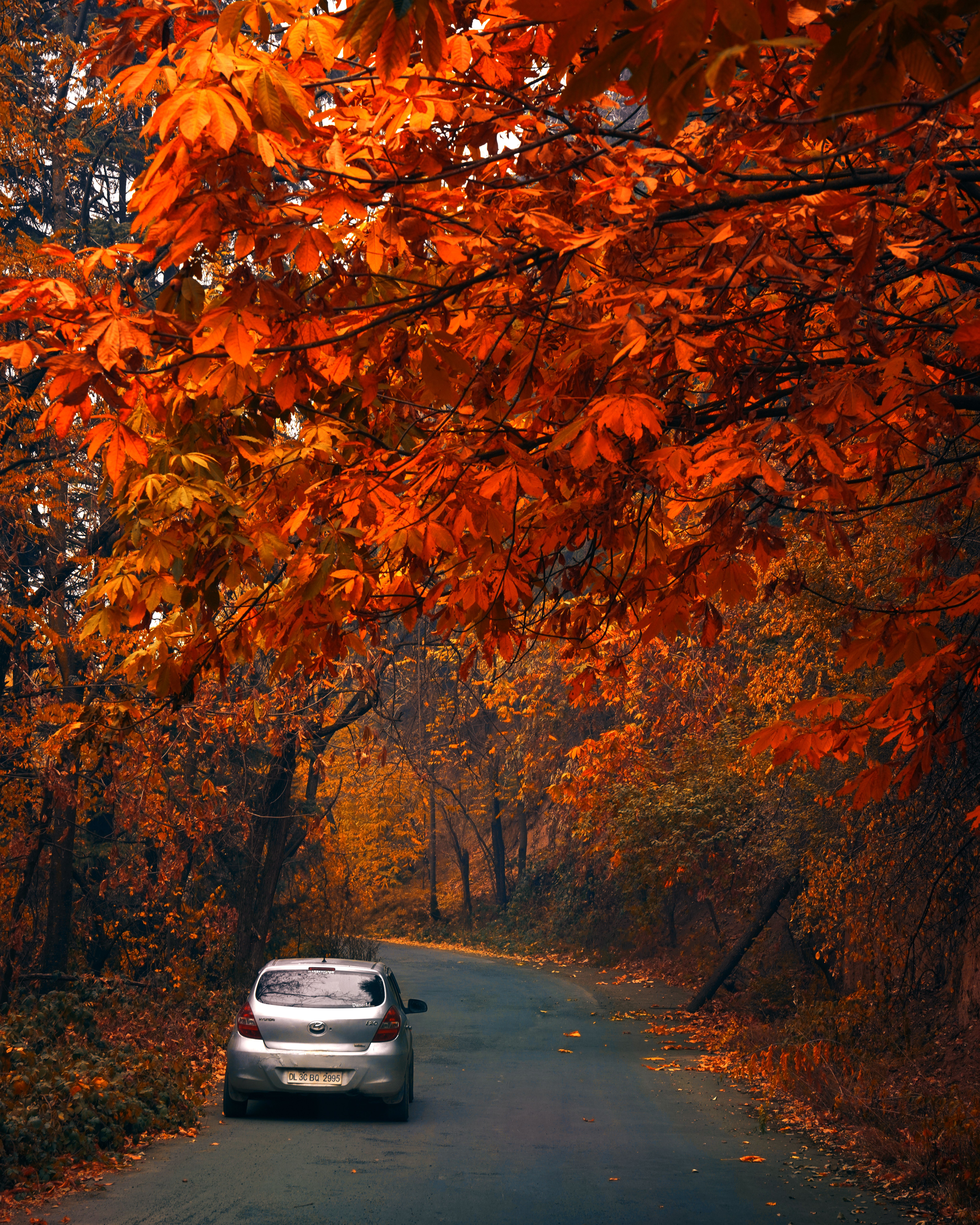 Top 5 Destinations in Uttar Pradesh to Explore with Self Drive Cars
